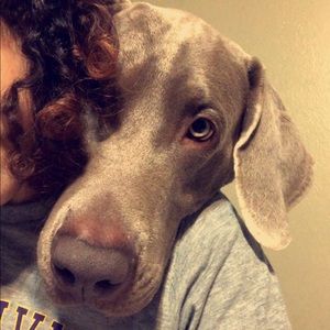 Meet your Posher, Alexandra